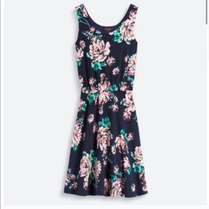 Renee c. Zamia knit dress